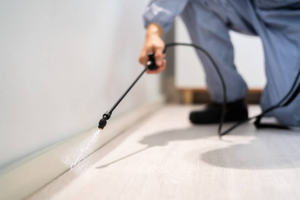 Licensed Pest Control service in Georgiana, AL - Show Me Pest Control