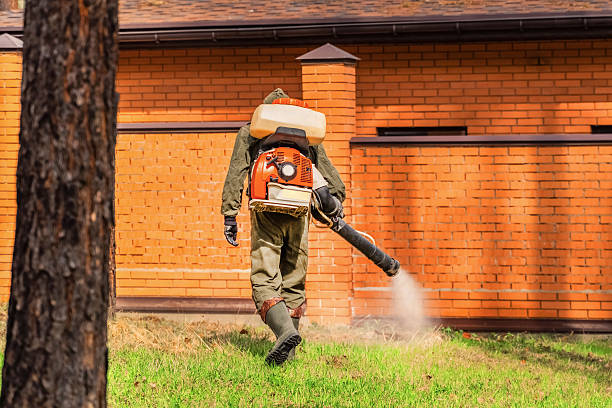 Bed Bug Clearance Verification and Documentation in Georgiana